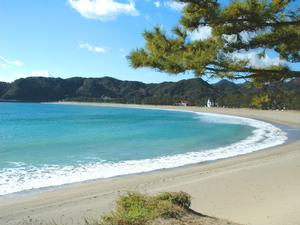 白砂青松の美しい海岸