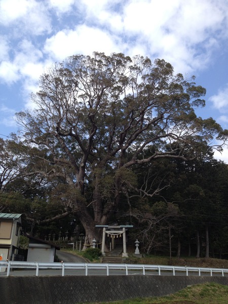 三島神社の夫婦クス