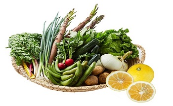 野菜+果物セット１.jpg