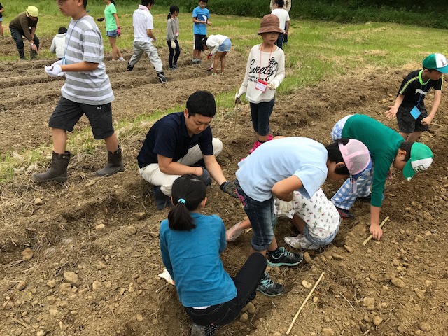 5.26種 5.26種