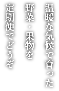 野菜果物キャッチコピー