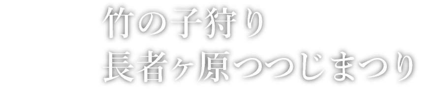 竹の子狩り・長者ヶ原つつじまつり