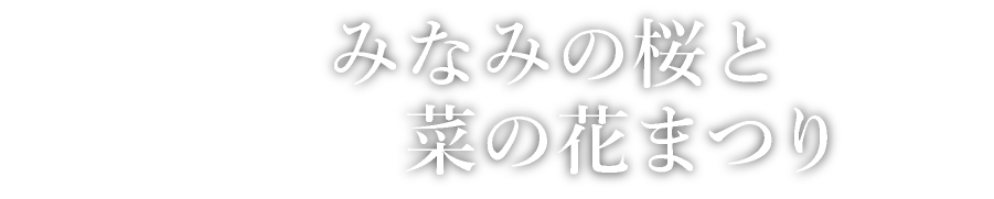 みなみの桜と菜の花まつり